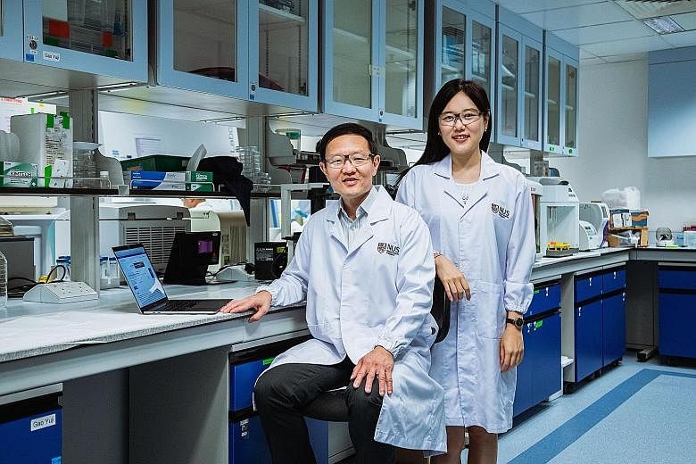 Professor Lim Chwee Teck (left) from the National University of Singapore's Department of Biomedical Engineering and recent PhD graduate Lim Su Bin developed a tool that can be used together with liquid biopsies to diagnose lung cancer and predict ho