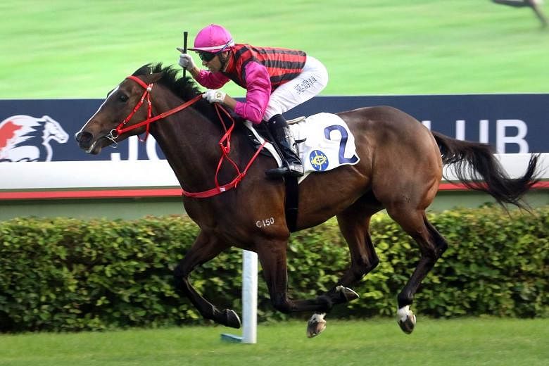 Waikuku is a genuine star on the rise and he can cement his position as Hong Kong’s next big thing with a win in tomorrow’s HK$10 million (S$1.73 million) Group 1 Stewards’ Cup in Race 5 at Sha Tin. 