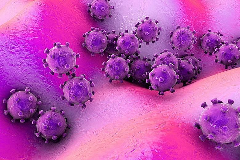 An illustration of coronaviruses on the surface of skin or mucous membrane. The new coronavirus, from the same family that causes Sars and Mers, has so far claimed two lives. PHOTO: GETTY IMAGES