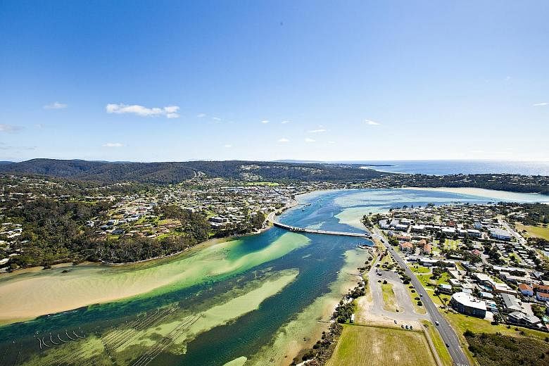 Merimbula on the south coast of New South Wales is a town of 8,000 people that relies mostly on domestic tourism for a living. The town usually comes alive over the summer holidays, when visitors have barbecues by the beach, surf and eat oysters from the 