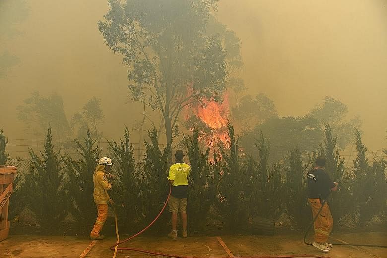 Workers trying to put out a bush fire behind a row of factories near Queanbeyan in New South Wales yesterday.