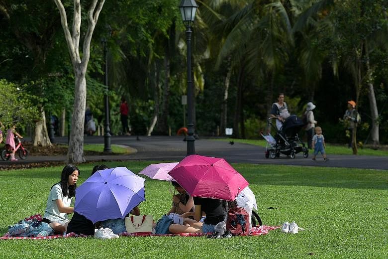 People having a picnic at the Singapore Botanic Gardens in December. There will be more warm weather ahead this month, with the daily temperature on most days expected to be between 24 deg C and 34 deg C. 