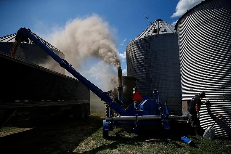 Soya beans being moved from a grain elevator to a truck to be transported in Iowa in the US last August. Some analysts had said following the phase one trade deal that China may need to roll back some of the tariffs on US goods such as soya beans and