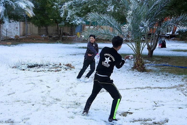 Iraqi boys playing with snow in the Shi'ite holy city of Karbala, south of the capital, yesterday. In Baghdad, the last recorded snowfall was in 2008, but it was a quick and mostly slushy affair - and prior to that, it had been a century since the ci