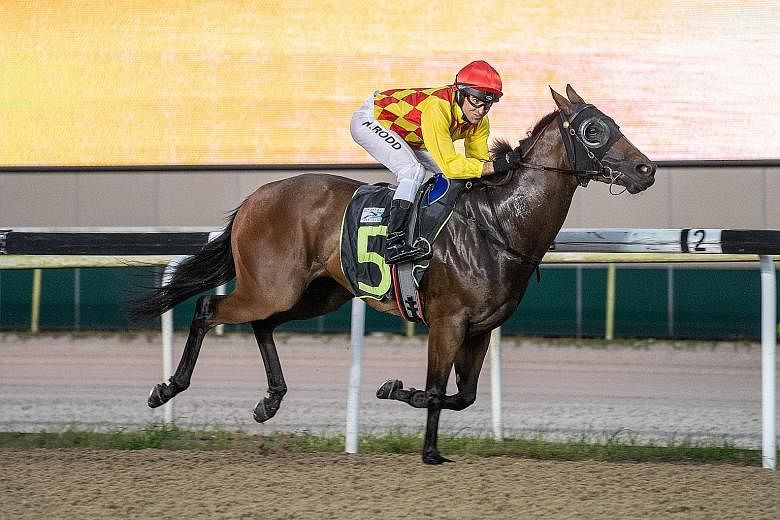 Trainer Tim Fitzsimmons The Tim Fitzsimmons-trained Mega Gold winning in spectacular fashion with jockey Michael Rodd astride in Race 2 at Kranji last night.