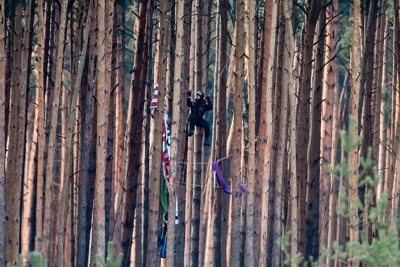 A police officer climbing a tree in a forest to remove a banner, presumably put up by environmental activists, and items that look like sleeping bags at the future Tesla Gigafactory construction site in Grunheide, near Berlin, last Friday. Germany's 