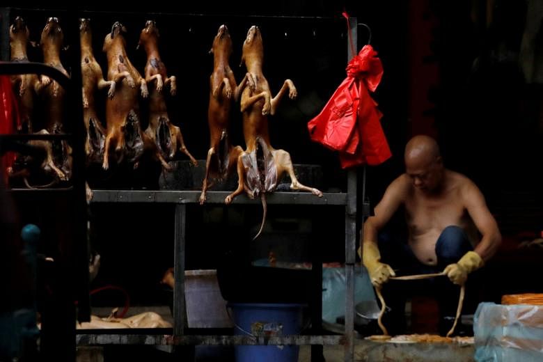 China bans trade, consumption of wild animals due to coronavirus | The  Straits Times