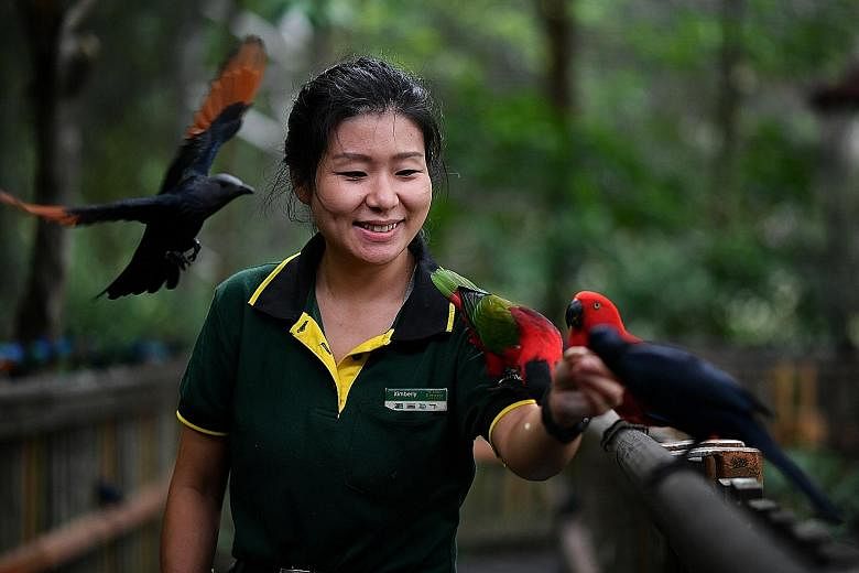 Jurong Bird Park junior birdkeeper Kimberly Wee, who picked up skills needed for her work through on-the-job training and courses, is looking forward to progressing to the next stage of her job under a new competency framework in zoology launched by 