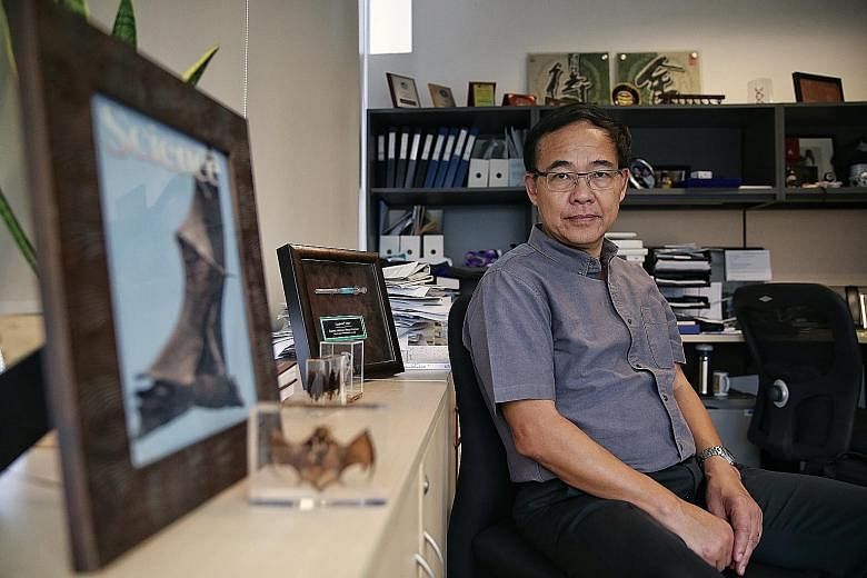 A couple of hundred people in Singapore were infected with Sars in 2003 and this "shadow of Sars", says Professor Wang Linfa of Duke-NUS Medical School, gives the Republic a problem in testing for Covid-19 as the two coronaviruses are 80 per cent sim