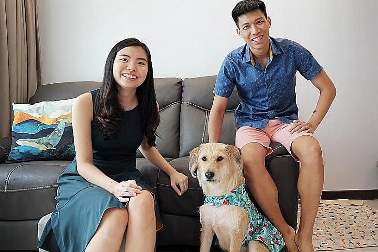 Ms Brenda Chong and her husband Heah Yong Chian, who live in a three-room HDB flat in Telok Blangah, adopted mixed-breed dog Belle, now three, under Project Adore from Causes for Animals in 2018. Dogs up to 55cm tall, with no weight limit, can now be