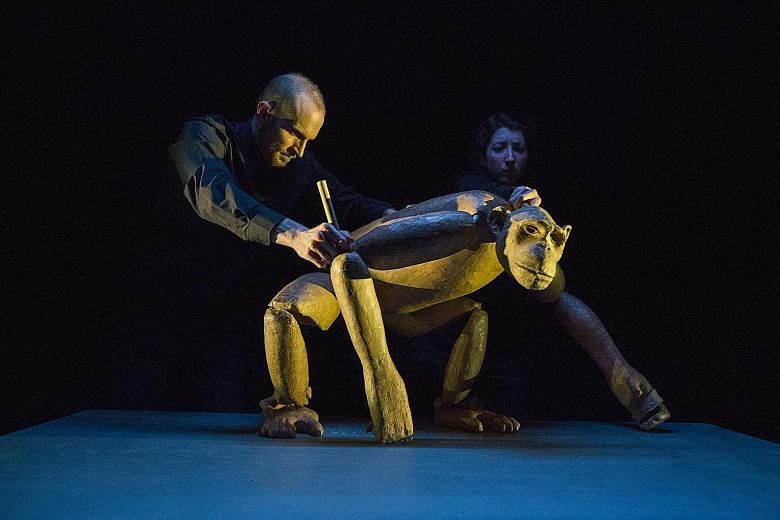 In the line-up: Brooklyn-based puppeteer Nick Lehane's Chimpanzee (above) tells the story of a lonely old female primate who grew up with a human family before being shipped off to a laboratory, while Only Bones (left) by New Zealand-born performer T