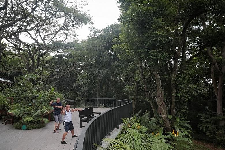 Park users practising taiji at the new therapeutic garden in Telok Blangah Hill Park yesterday. Nestled in the park's natural forest setting, the garden features mature trees and lesser-known forest species with therapeutic effects, such as the Singa