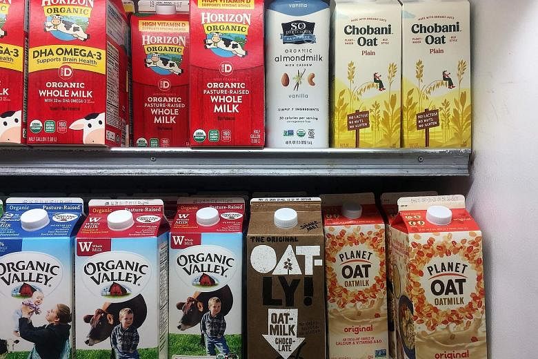 Oat milk cartons in a grocery store in Manhattan, New York. Oat milk is fast becoming a vegan favourite in the United States.