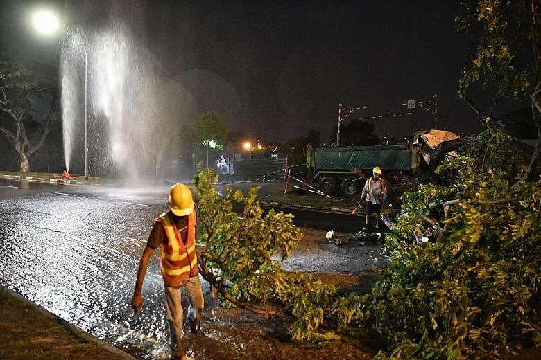 A 35-year-old driver was taken to hospital after his tipper truck crashed into a fire hydrant and tree at the junction of Tampines Avenues 1 and 4 early on Wednesday morning. An eyewitness alerted citizen journalism site Stomp to the accident and sha