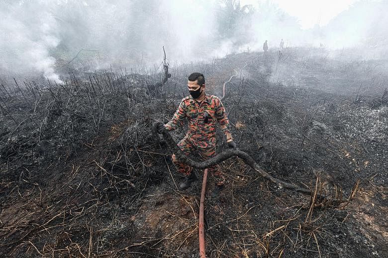 A firefighter holding a 3m-long carcass of a snake found after a peatland fire was extinguished at Kampung Matang Merbau in Taiping, Malaysia, in September. As the world tries to cap the amount of carbon used, much attention is being given to nature-