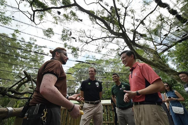 Minister for Trade and Industry Chan Chun Sing speaking to Wildlife Reserves Singapore (WRS) deputy head keeper Jagan Thanapal during his visit to the Singapore Zoo yesterday, as Mandai Park Holdings group chief executive Mike Barclay and WRS chief h