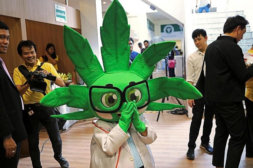 Dr Ganja, Thailand's medical cannabis mascot (above), welcomed patients in January to the government's first full-time medical cannabis clinic. It is located in Nonthaburi province, on the grounds of the Ministry of Public Health.
