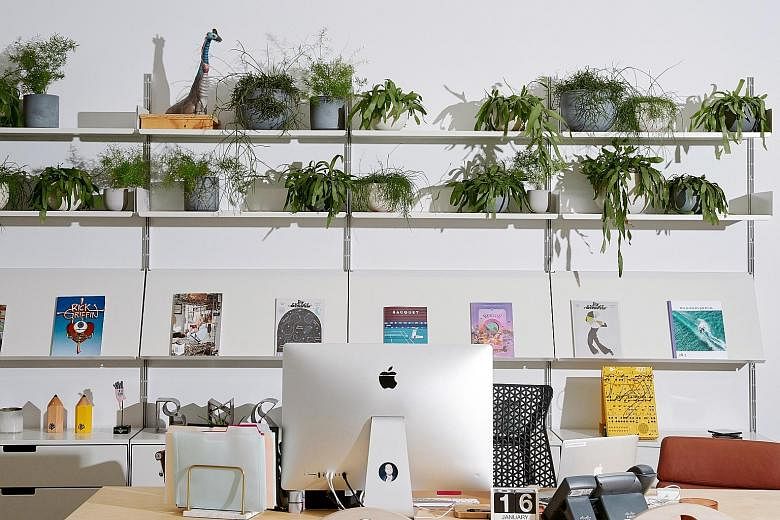 Plant styling by Ms Lisa Munoz in the offices of Buck, a production company in New York.