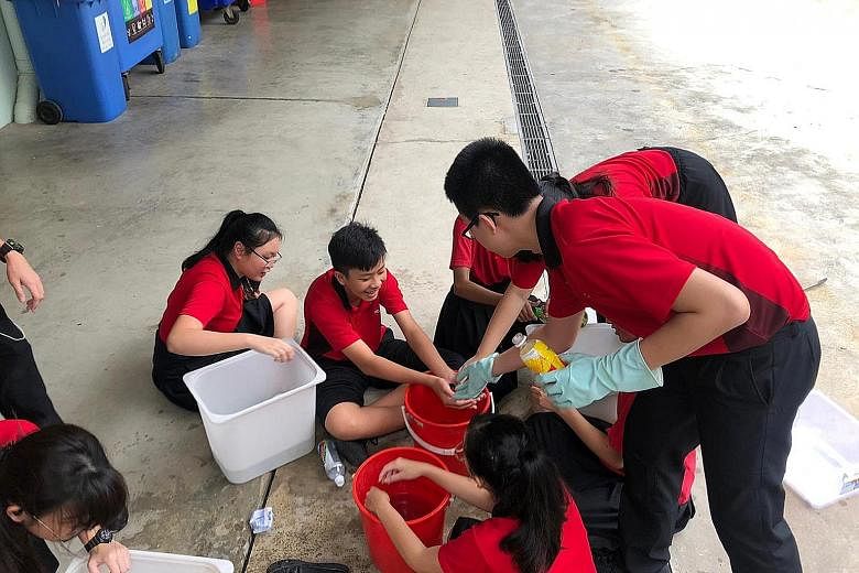 Zhenghua Secondary School student volunteers washing the PET bottles to ensure they are free from contaminants such as food or liquid waste, which would make the entire collection unsuitable for recycling. The inter-school contest was held from Novem