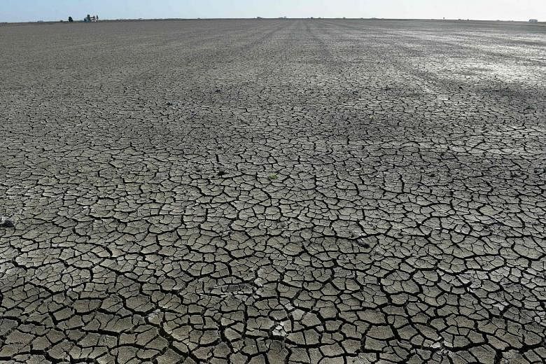 Cracks cover a dry reservoir bed in Isla Mayor, Seville, Spain. Water use has increased sixfold over the past century and is rising by about 1 per cent a year, said the United Nations World Water Development Report 2020. It outlined ways water could 