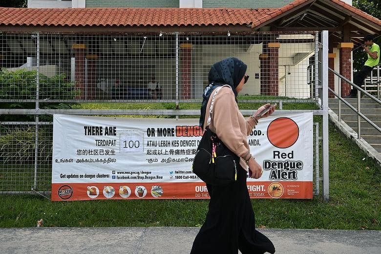 As of Sunday, more than 4,000 people here have been infected with dengue fever, double the number of cases reported for the same period last year. The strain of dengue threatening Singapore today, DenV-3, is one that many here do not have immunity ag