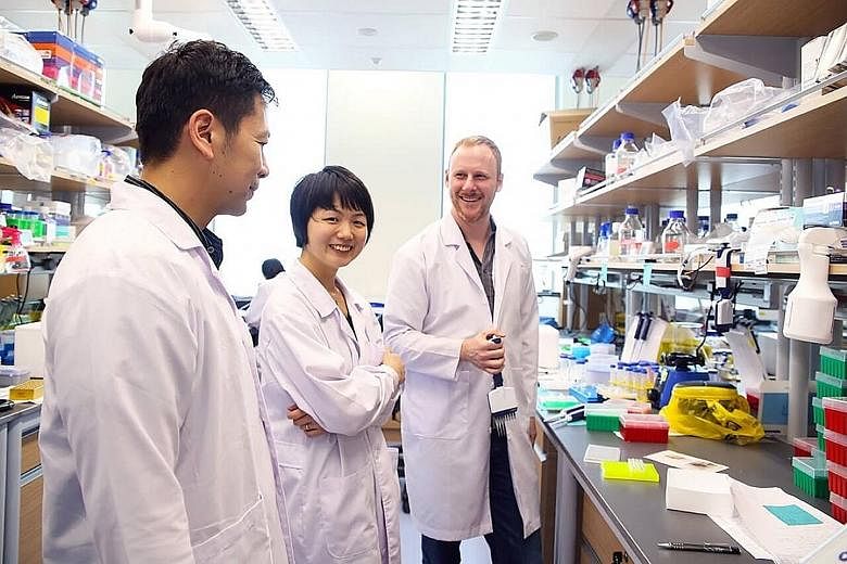 The co-founders of local start-up Proteona - (from left) Dr Shawn Hoon, Dr Wang Yingting and Dr Jonathan Scolnick - having a discussion in their laboratory in Singapore.