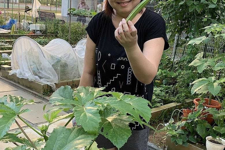 The writer with okra from her little plot in a community garden.