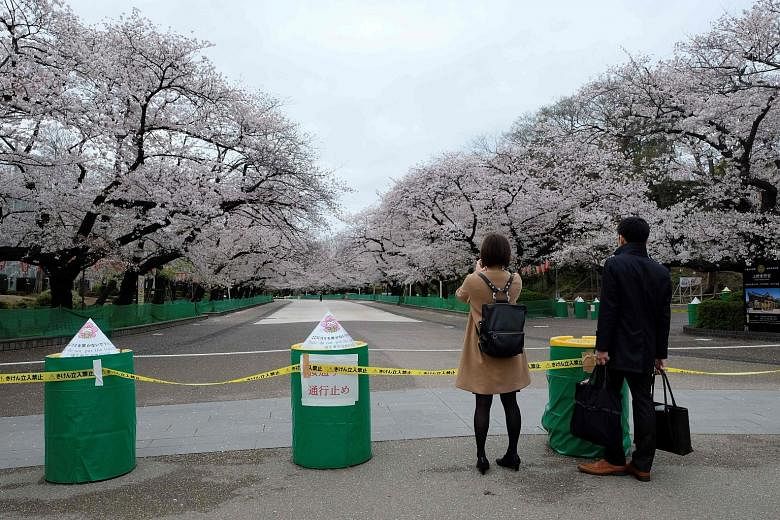 A couple viewing cherry blossoms at Ueno Park in Tokyo yesterday, in front of a road closure sign. Popular cherry blossom viewing sites like Shinjuku Gyoen and Ueno Park have closed or restricted access to the public to discourage outings. PHOTO: AGE