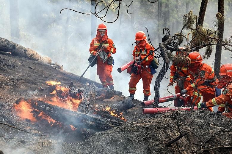 Firefighters battling a forest fire in Xichang, in China's south-western Sichuan province, yesterday. PHOTO: AGENCE FRANCE-PRESSE