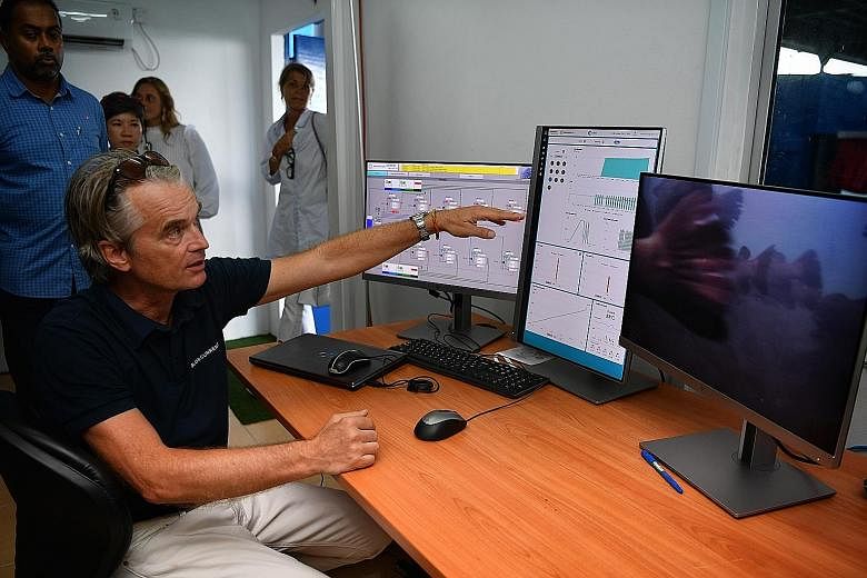 Singapore Aquaculture Technologies co-founder Dirk Eichelberger said of the smart camera system to detect disease spread in fish stock: "It can't tell you what the disease is, but it can warn you about it."