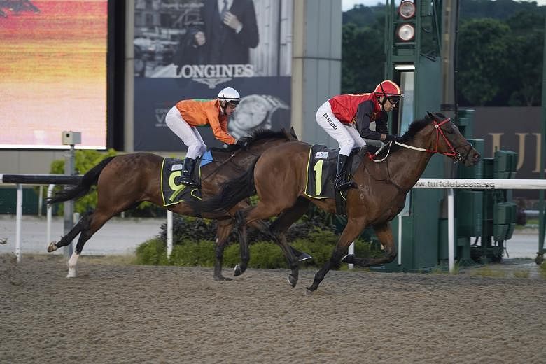 War Frontier posting a one-length win over the $13 favourite Kharisma for his first success from seven starts in Race 2 at Kranji last night. 