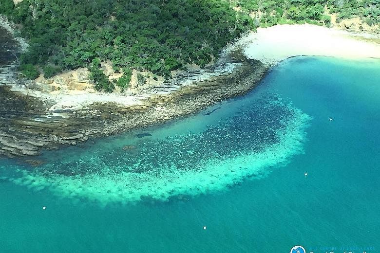 Coral scientist Terry Hughes conducting aerial surveys of Australian reefs. He recorded the various degrees of bleaching suffered by reef-building corals from about 150m above sea level.