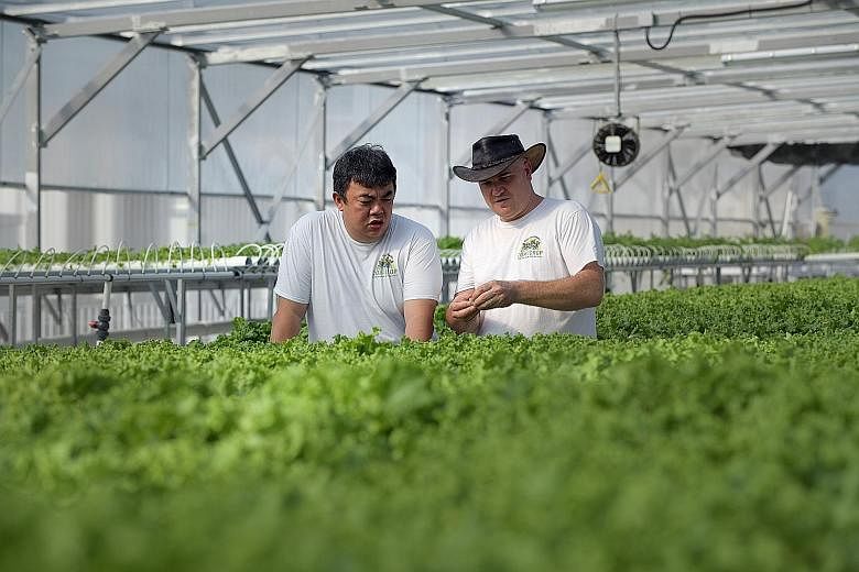 ComCrop founder Allan Lim and chief executive Peter Barber at the company's rooftop greenhouse in Woodlands.