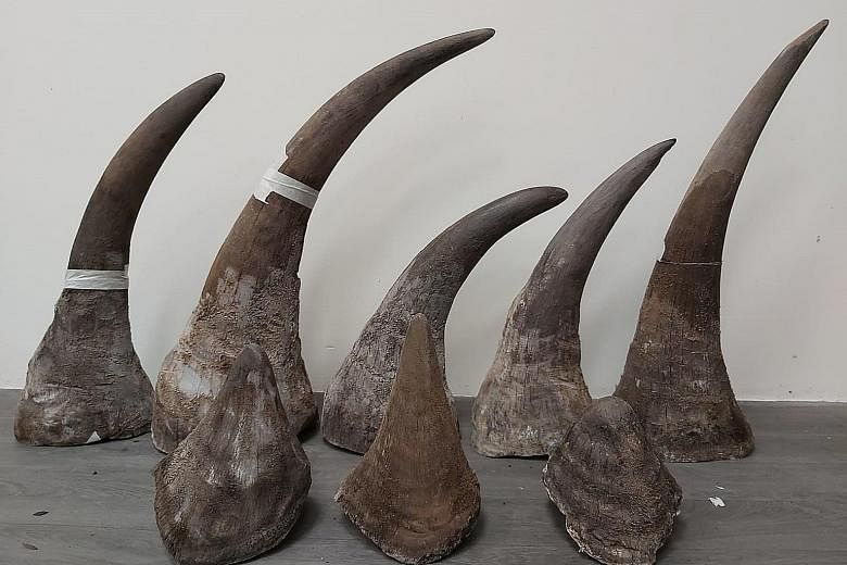 South African Thurman Shiraazudin Aiden Matthews was caught with the rhinoceros horns while in transit at Changi Airport Terminal 2 in January. Eleven pieces were found in two suitcases.