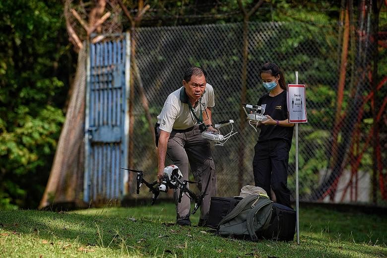 National Parks Board officers with a drone at Bukit Timah Nature Reserve yesterday to monitor visitorship.