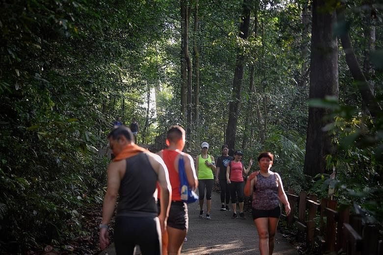 People at Bukit Timah Nature Reserve yesterday. Enforcement efforts are being stepped up against those who continue to flout safe distancing measures.