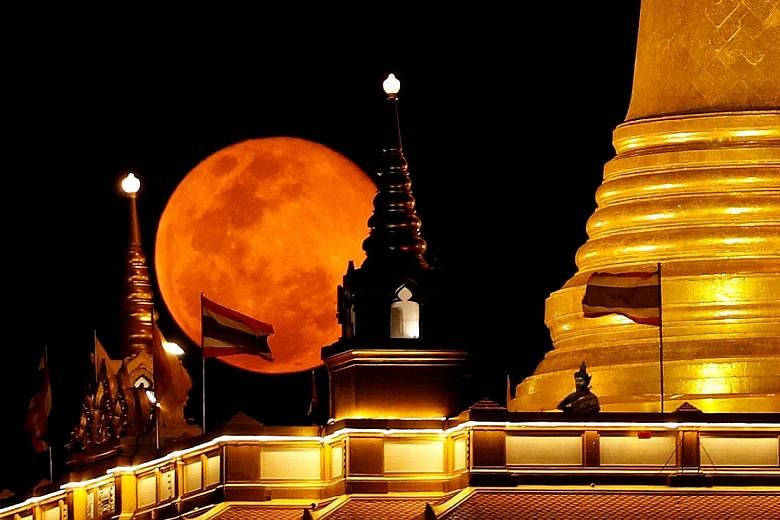 The pink supermoon rising over Wat Saket, also known as the Temple of the Golden Mount, in Bangkok on Wednesday. Seen over Tuesday and Wednesday in various regions of the globe, it was the largest and brightest of the full moons that the world will s