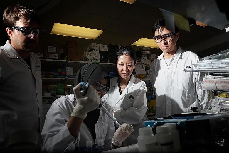A*Star researchers at work in February. Laboratory work for projects has been put on hold during the circuit breaker period. However, researchers from institutions like A*Star and universities such as the National University of Singapore and Nanyang 