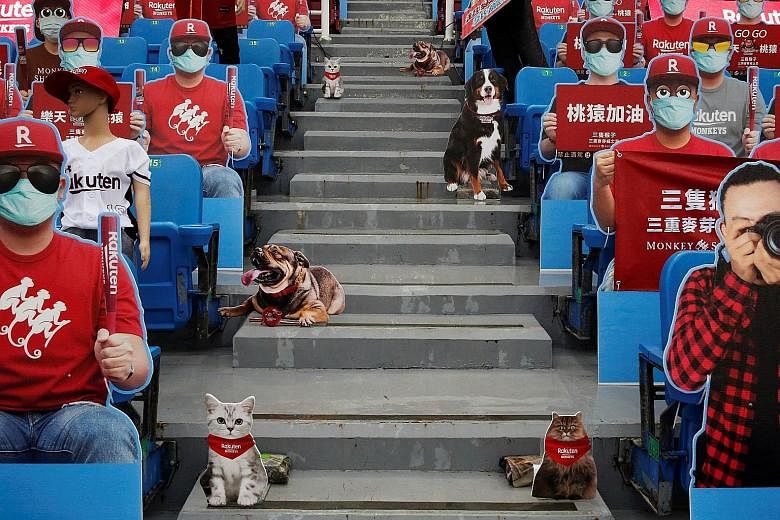 It might feel like a full house in Taoyuan City with fans bringing their pets. But it turns out they are just dummies in place of the audience ahead of Taiwan's first professional baseball league game of the season. With Saturday's game postponed owi