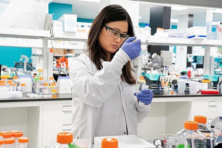 Arcturus Therapeutics research assistant Marion Hong conducting research on a vaccine for the coronavirus at a laboratory in San Diego last month. Duke-NUS Medical School in Singapore and Arcturus are now conducting pre-clinical studies on a vaccine 