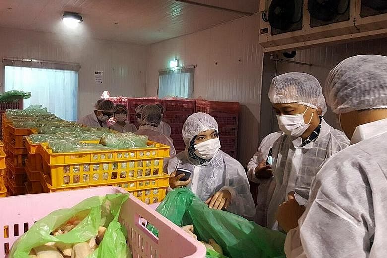 Muis' Halal Certification Strategic Unit officers looking at the processes of a halal chicken slaughtering centre. Muis said key decisions on halal certification are not made by one person, but by an independent panel. PHOTO: MUIS