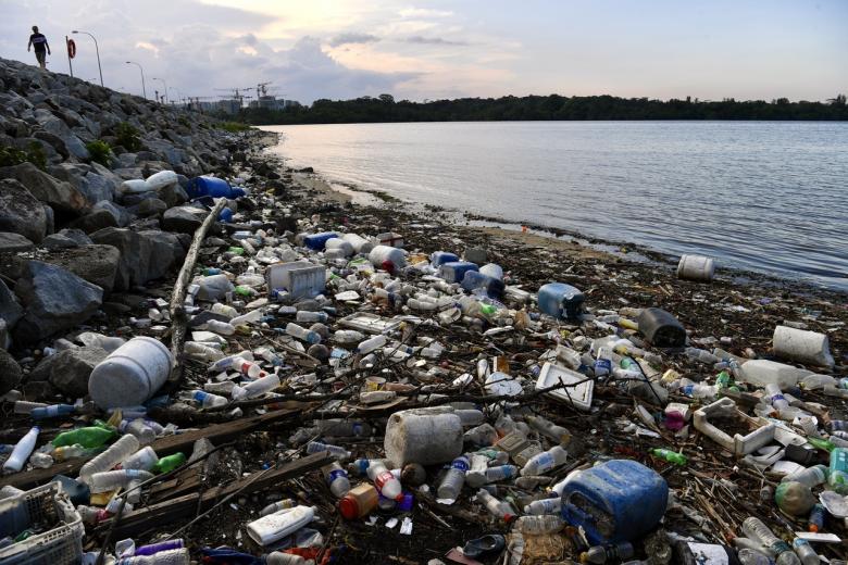 Yishun Dam shoreline cleared of rubbish and plastic waste after 4day