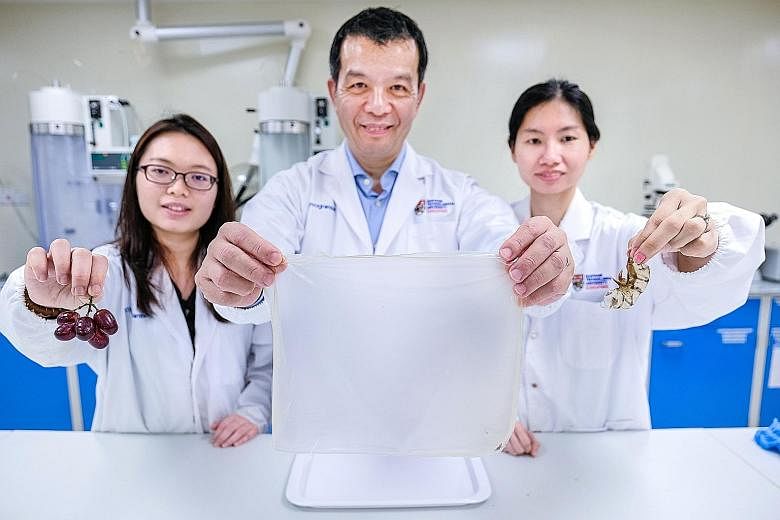 (From left) Nanyang Technological University research officer Lee Pei Pei, Professor William Chen, director of NTU's food science and technology programme, and PhD student Tan Yun Nian, with the food-grade film packaging created from prawn shells and