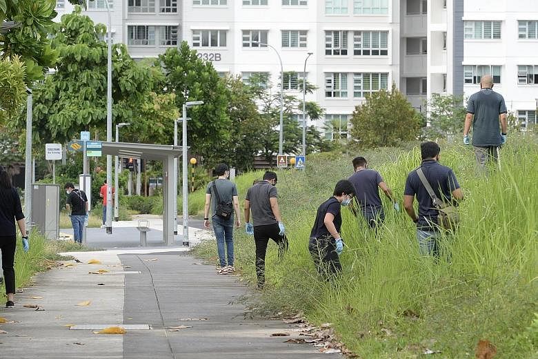 Police officers (above) combing the vegetated area near the scene of Sunday's attack on Mr Tay Rui Hao (left) in Punggol Field on Monday. Mr Tay's father reportedly said his son had texted him earlier in the day to tell him he was heading out for a r