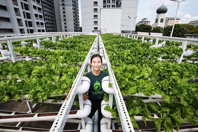 Citiponics co-founder Danielle Chan at the local agri-tech firm's carpark rooftop farm in Ang Mo Kio. The company plans to take part in the latest tender and expand its production capacity, but that will depend on further on-site assessments.