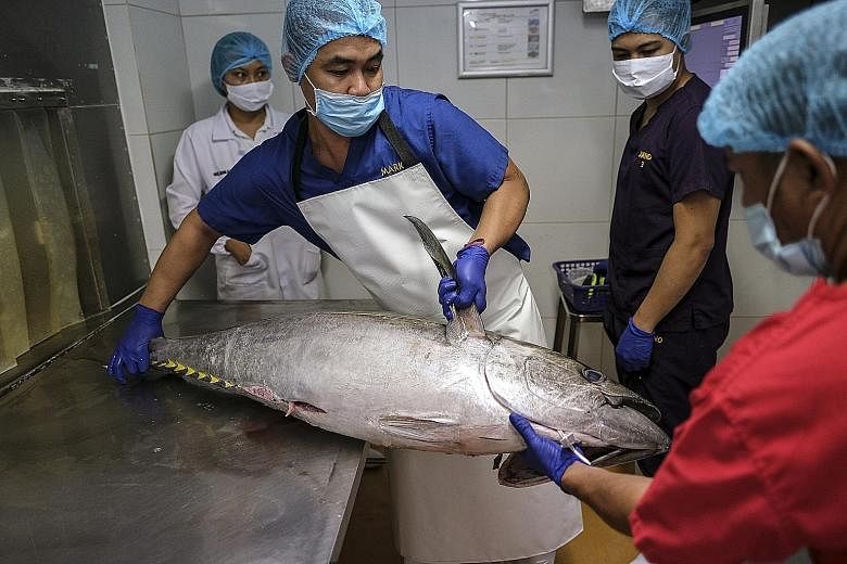 Workers handling a tuna fish in the Meliomar processing plant in Manila yesterday. The Philippine government projects the economy to shrink by 2 per cent to 3.4 per cent this year in the wake of the pandemic.