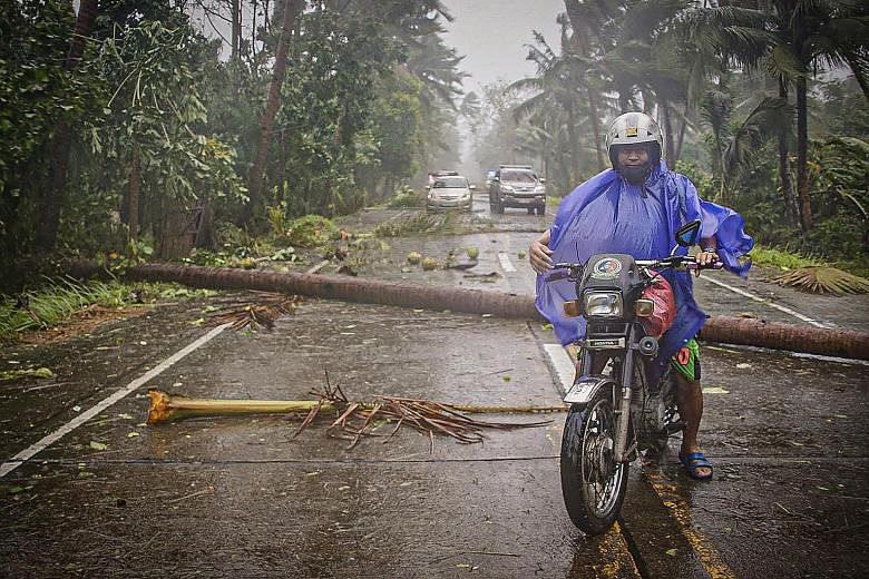 A motorcyclist braving strong winds and rain while travelling on a highway in Can-avid town in central Philippines yesterday. PHOTO: AGENCE FRANCE-PRESSE