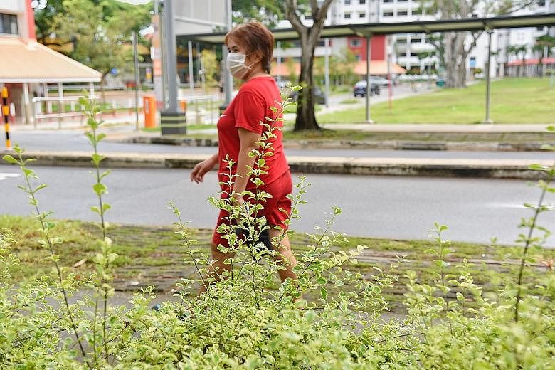 Overgrown grass along Toa Payoh Lorong 6. The National Parks Board said operations such as preventive tree pruning and grass cutting for vector control are still ongoing.