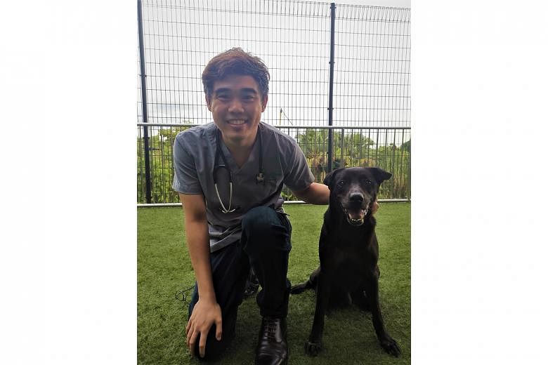 Dr Teo Boon Han, a veterinarian in the Animal & Veterinary Service under the National Parks Board.