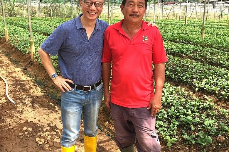 Public relations veteran Jimmy Tay (in blue) with Mr Alan Toh of Yili farm in Lim Chu Kang. The two men (right) surveying algal and duckweed bloom in a retention pond on the farm. Mr Tay in 2016 invested an undisclosed sum in Silicon Valley biotech s
